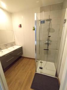 a bathroom with a shower and a sink at Le domaine de Fillette in Einvaux +10 photos