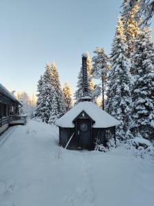 a small building in the snow with trees at Villa Aurora in Syöte