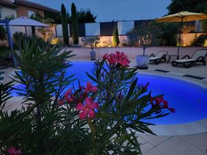 a plant with flowers in front of a swimming pool at Chambres d hôtes Léonie in Druillat