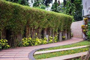a walkway with a hedge and a wooden bench at Trivana Pool View 3BR Senayan in Jakarta