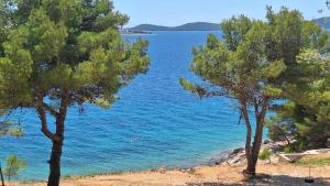 two trees on the shore of a body of water at Mobile home Azzurro in Drage +19 photos