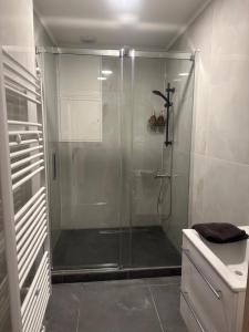 a shower with a glass door in a bathroom at KK Apartments in Prague +142 photos