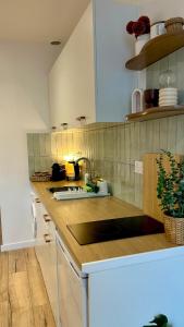 a kitchen with a sink and a counter top at Casa Alba in Saint-Chamond +1 photo