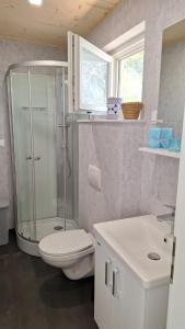 a bathroom with a shower and a toilet and a sink at Mobile home Clara in Drage