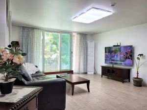 a living room with a couch and a tv at 대전 SJ Haus in Daejeon +31 photos