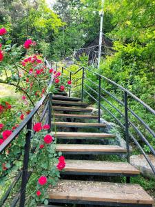 a stairway with red roses and a bunch of flowers at 대전 SJ Haus in Daejeon