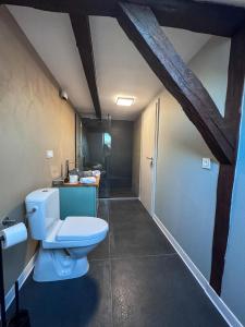 a bathroom with a white toilet in a room at Pensiunea 7 Tei in Cisnădioara +37 photos
