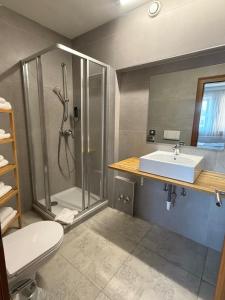 a bathroom with a shower and a sink and a toilet at DAD Vogelweiderhof Rooms in Salzburg +39 photos