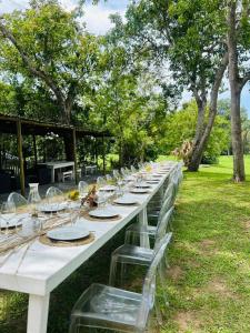 a long white table with plates and glasses on it at Lavender farm home in Port St. Johns