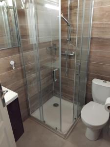 a bathroom with a glass shower with a toilet at Maisonnette meublée à la campagne in Ernée