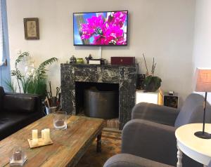 uma sala de estar com lareira e uma televisão por cima em Gîte du Chalet Pietri em Olivese