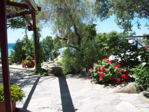 a shady garden with red flowers and a tree at Oasis apartment 1 in Alykí +2 photos
