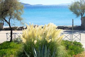 a field of plants with the ocean in the background at Oasis apartment 1 in Alykí