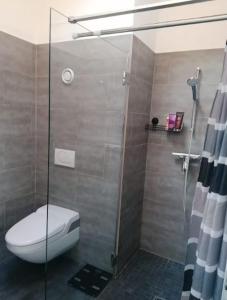 a bathroom with a toilet and a glass shower at Loft lumineux et confortable in Grimisuat