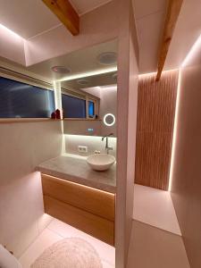 a bathroom with a sink and a mirror at Sfeervol Tiny House met luxe jacuzzi & tuinkamer in Heerenveen
