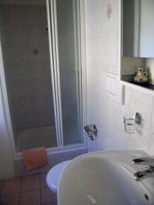 a bathroom with a sink and a shower at Garni Rosa Delle Alpi in Gordola
