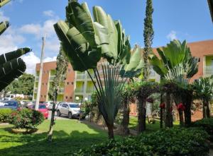 a group of palm trees in front of a building at Hotel Absolar in Alagoinhas +25 photos