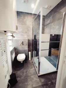 a bathroom with a shower and a toilet at 201- Appartement- proche gare in Saint-Brieuc +21 photos