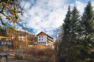 a large white building on a hill with trees at Boutique Hotel & Apartments Pension Sternen in Todtmoos