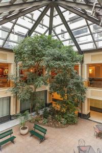 a large tree in the middle of a building with benches at Starhotels Du Parc in Parma