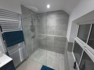 a bathroom with a shower with a glass door at Annies Farm Cottage in Derry Londonderry +39 photos
