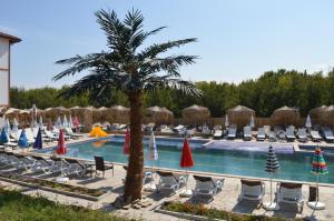 a palm tree next to a swimming pool with chairs and a palm tree at Eco complex Miramar in Mineralni Bani
