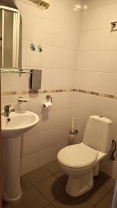 a bathroom with a toilet and a sink at Tukuma Ledus Halle in Tukums