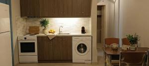 a kitchen with a washing machine and a dishwasher at Andros Guesthouses in Andros