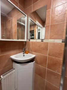 a bathroom with a sink and a mirror at Private Studio by Wembley in Preston