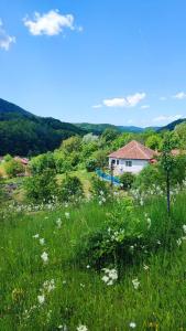 eine Wiese mit einem Haus im Hintergrund in der Unterkunft Camping OR in Bucureşci