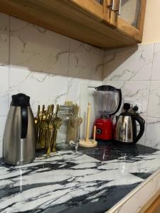 a kitchen counter with appliances on a marble counter top at Kivulini Homes in Moshi