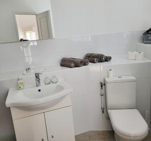 a white bathroom with a toilet and a sink at L'Etalon, maison dans corps de ferme in Chailly-sur-Armançon +10 photos