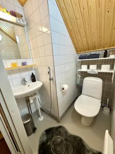 a small bathroom with a toilet and a sink at Villa Santala in Naantali +37 photos