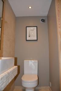 a bathroom with a toilet and a sink at Boutique Alpine Chalet with Panoramic Views in Thollon +25 photos