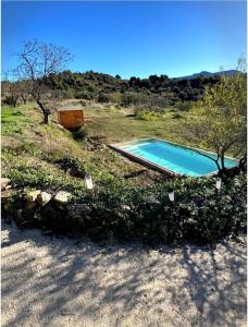 a small swimming pool in the middle of a field at Mas del Bot in Valderrobres