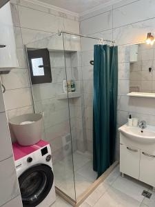 a bathroom with a washing machine and a sink at Apartments Samardzic in Kotor +48 photos