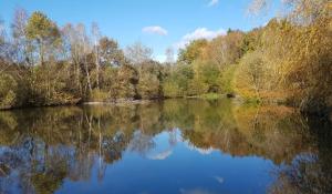 a view of a river with trees and reflections at la cabane mobile in Beyssenac