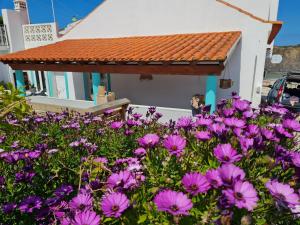 a pile of purple flowers in front of a house at Carlo's Beach Guest House in Praia de Odeceixe
