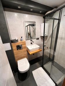 a bathroom with a toilet and a sink and a shower at Apartament Central Wałcz Residence in Wałcz