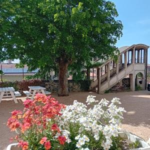a park with a tree and benches and flowers at Gîte et Chambres d'hôtes du Musée Ecole in Le Monastier sur Gazeille +8 photos