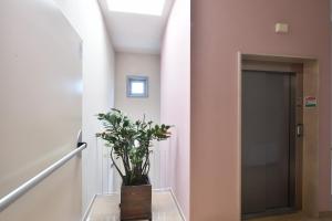 Foto dalla galleria di Tatì Hotel a Lugo
