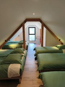a group of green pillows lined up in a attic at Gîte-Auberge l'écureuil in Châteauneuf-dʼEntraunes