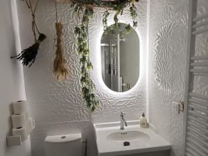 a bathroom with a sink and a mirror and a toilet at L'écrin de Nature T2 Centre Historique in Auxerre +7 photos