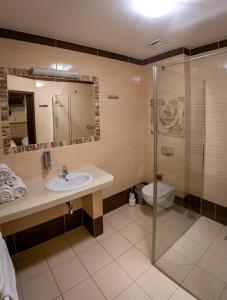 a bathroom with a sink and a shower and a toilet at Zajazd Pod Borem in Pokój +22 photos