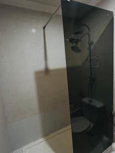 a bathroom with a shower with a toilet and a mirror at Hostal Cala Verde in Villaricos +12 photos