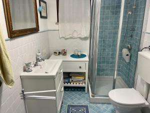 a bathroom with a shower and a sink and a toilet at Home Nicola Jago in Castiadas