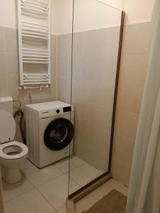 a bathroom with a washing machine and a toilet at Central garsoniera ap 3 in Târgu-Mureş