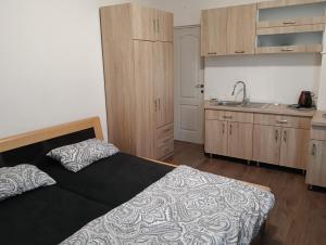 a small bedroom with a bed and a kitchen at Central garsoniera ap 3 in Târgu-Mureş