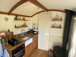 a kitchen with a sink and a stove top oven at Dartmoor Shepherds Hut at The Shrubbery, River Walkham, Horrabridge, Yelverton in Tavistock +41 photos