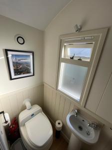 a small bathroom with a toilet and a sink at Dartmoor Shepherds Hut at The Shrubbery, River Walkham, Horrabridge, Yelverton in Tavistock